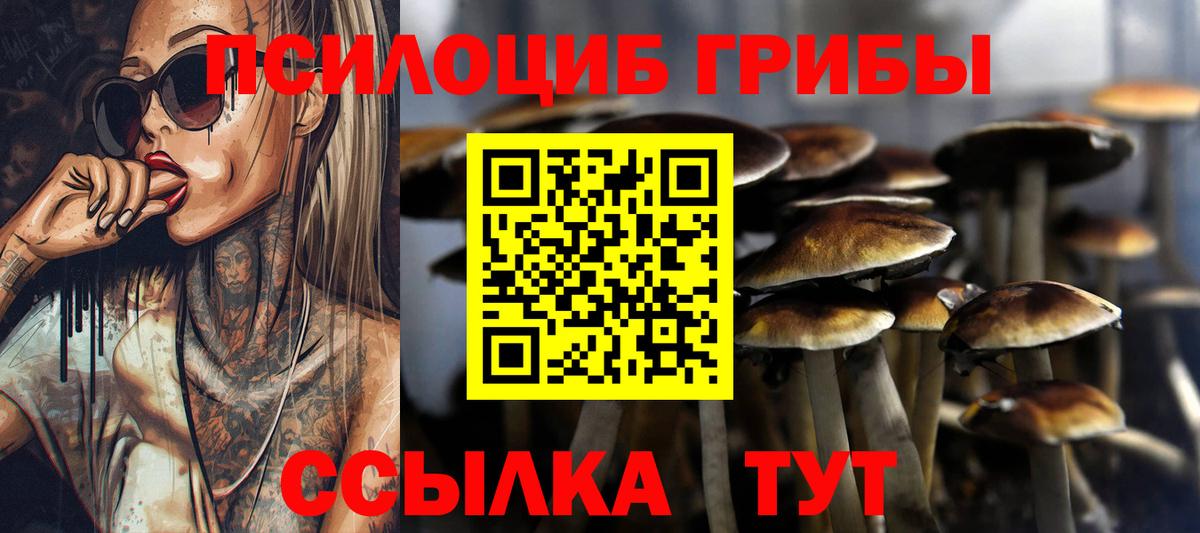 Галлюциногенные грибы MAGIC MUSHROOMS  как найти наркотики  Псилоцибиновые грибы MAGIC MUSHROOMS  Кувандык  Вход с VPN 