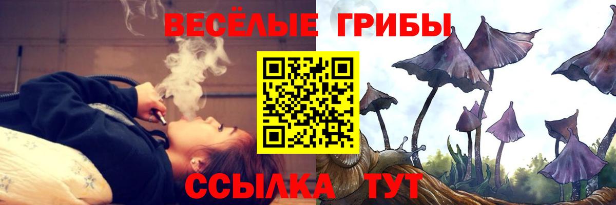 Псилоцибиновые грибы Psilocybe Кувандык